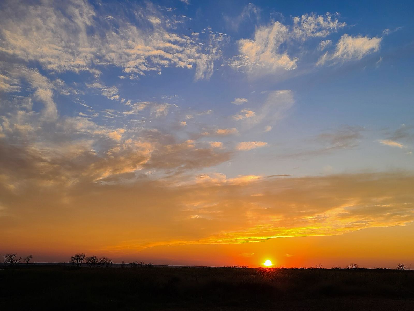 The sun setting over open prairie, with a low line of trees along the horizon.