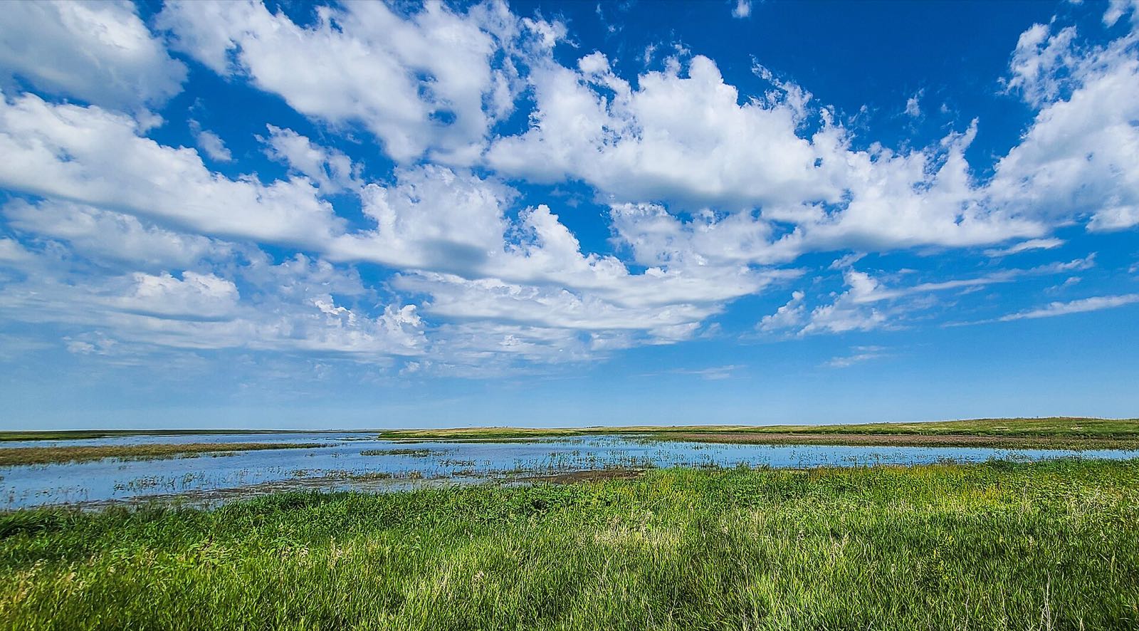 Open mixed-grass prairie under a wide sky, with shallow water lying across the grass.