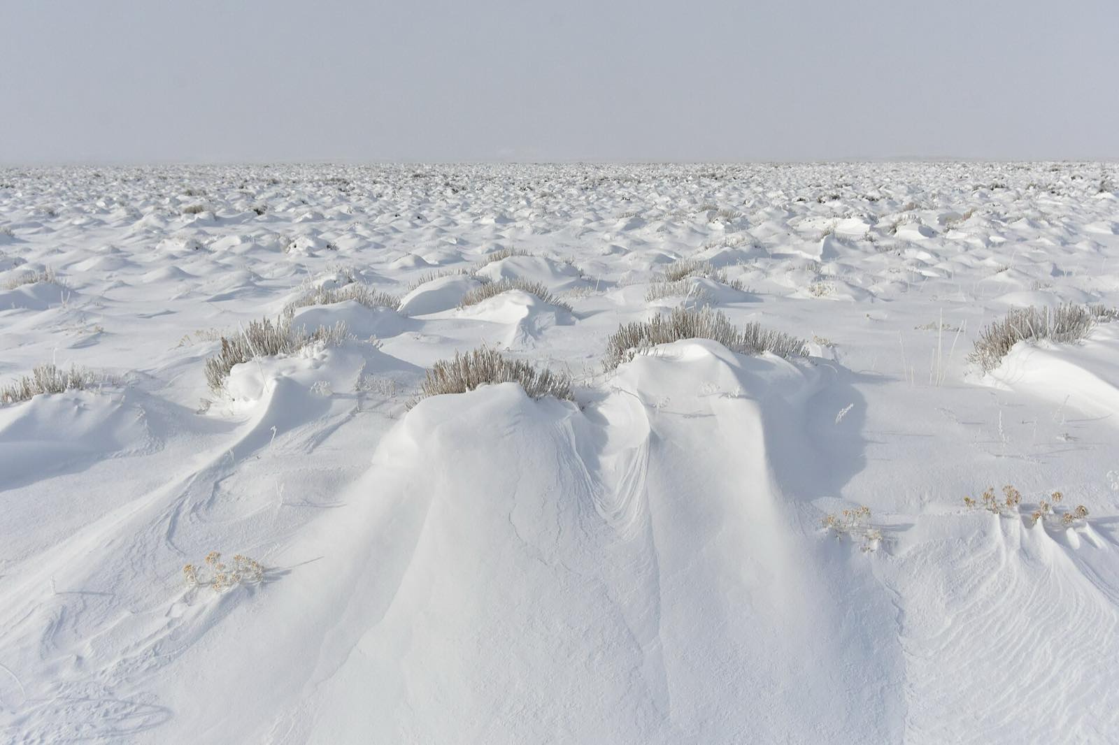Wind-carved snow lying in drifts across open sagebrush flats under a pale winter sky.